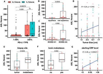 AXL expression reflects tumor-immune cell dynamics impacting outcome in non-small cell lung cancer patients treated with immune checkpoint inhibitor monotherapy